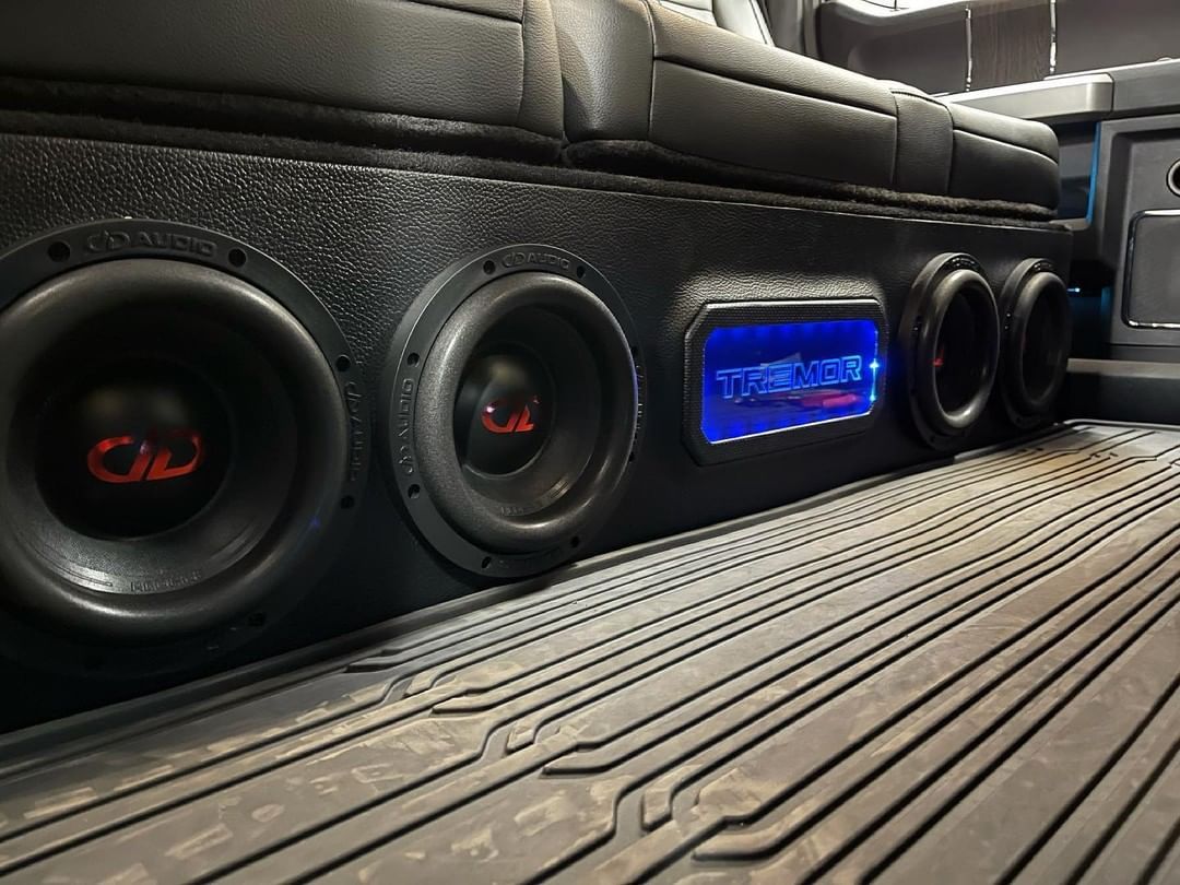 Photo of 608 subs in a custom under seat enclosure