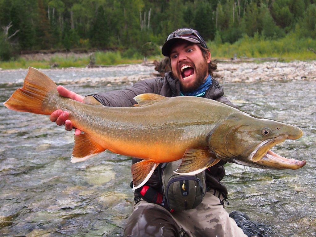 bull trout fishing