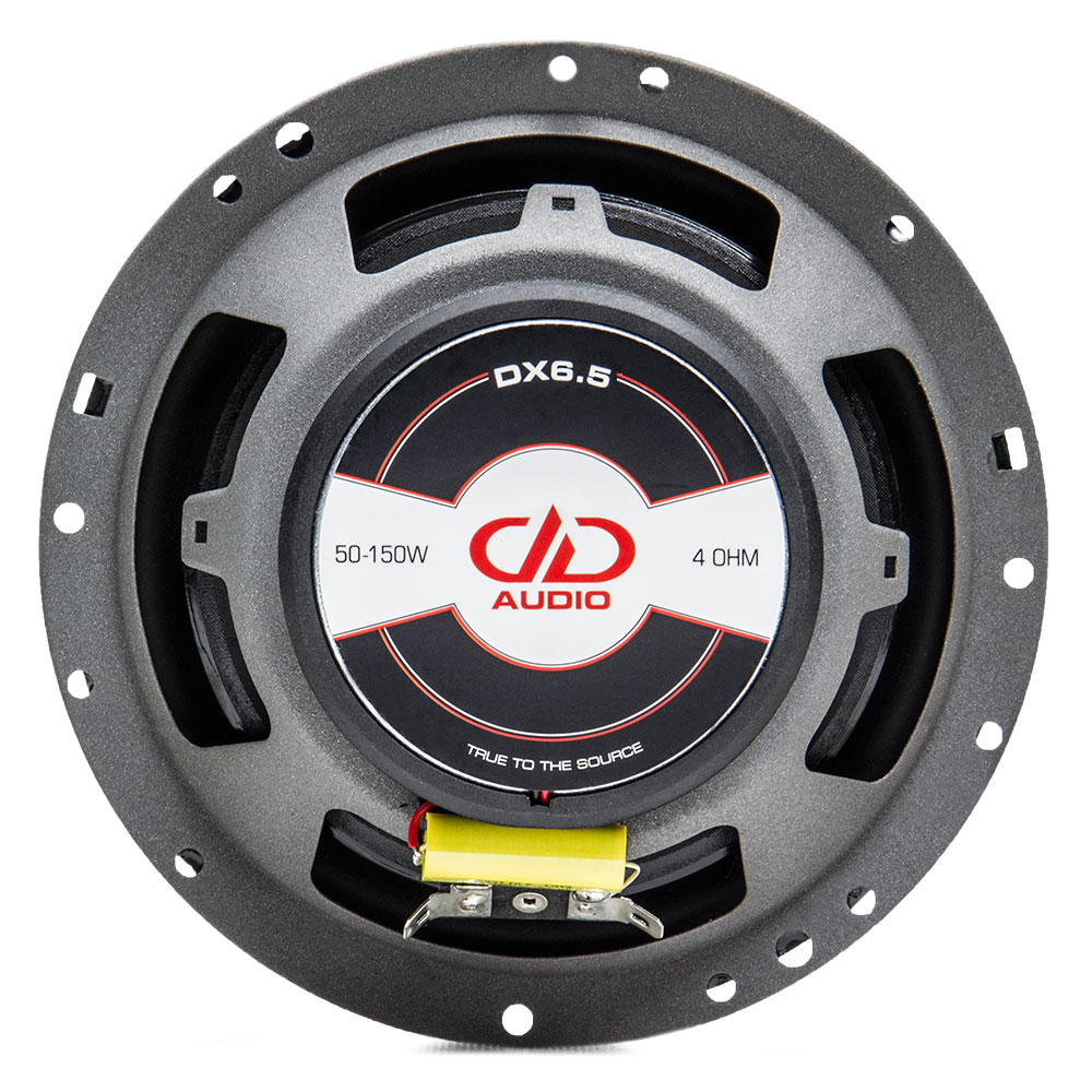DX6.5 Coaxial speaker