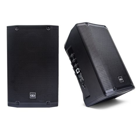Photo of two RAGER-PRO-851 speakers, one angled top to bottom right to the side to partially show controls, positioned to direct sound up and out, the other facing front to show logo on grill
