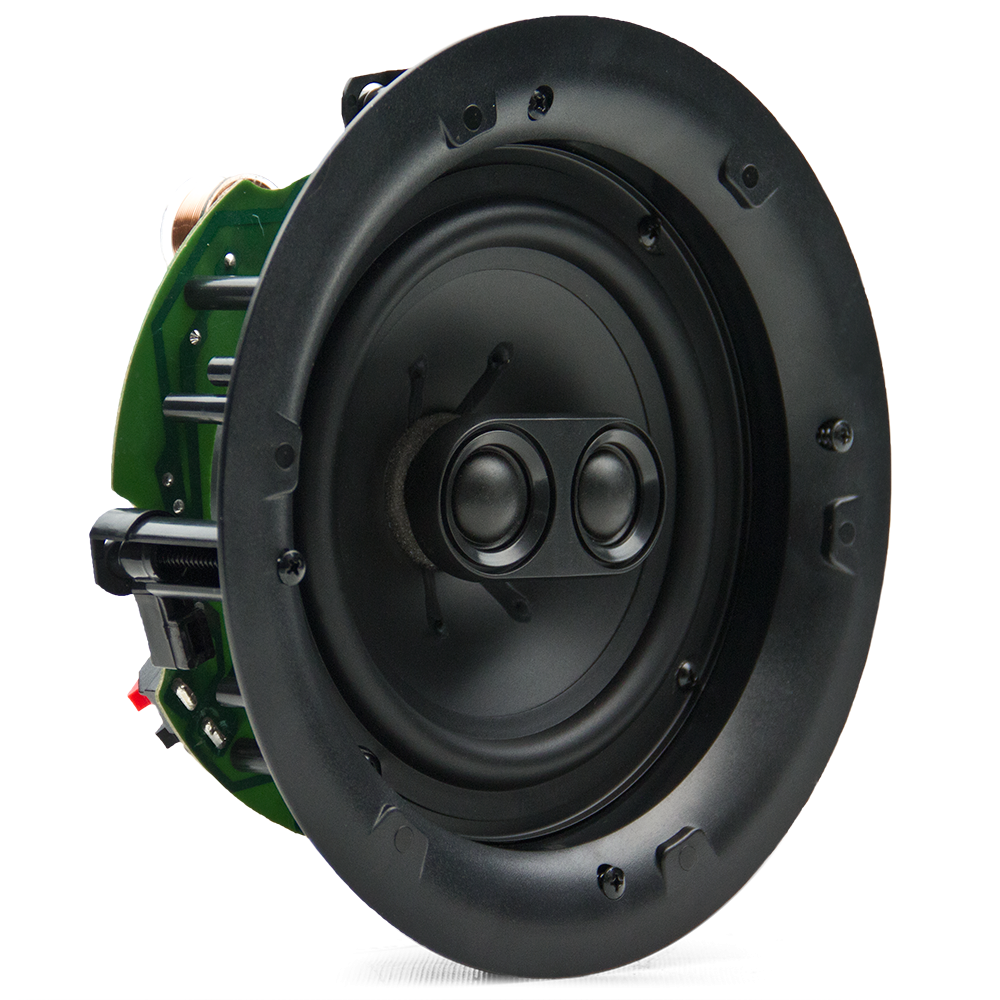 Photo of IW-65 facing front angled right to show cone, tweeters, and part of circuit backing