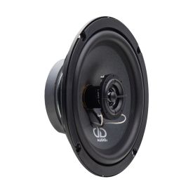 Photo of RL-CX6.5a shot front angled right showing part of motor, surround, cone with integrated tweeter