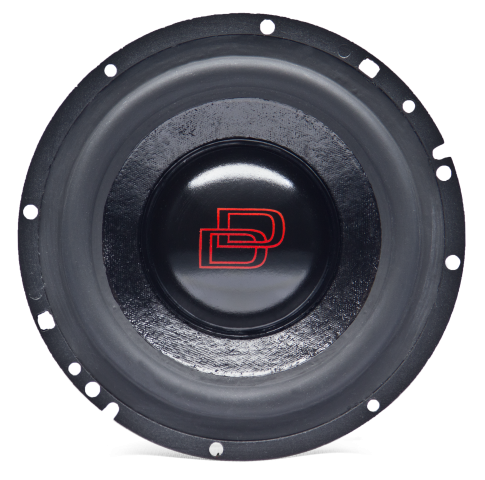 Photo of W6 shot facing front to show cone and classic DD dustcap, surround
